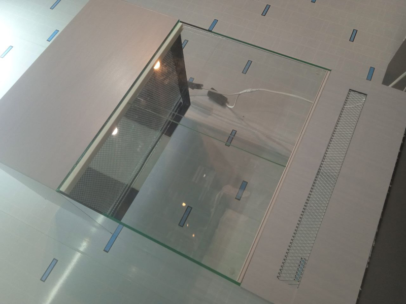 Террариум - лягушатник