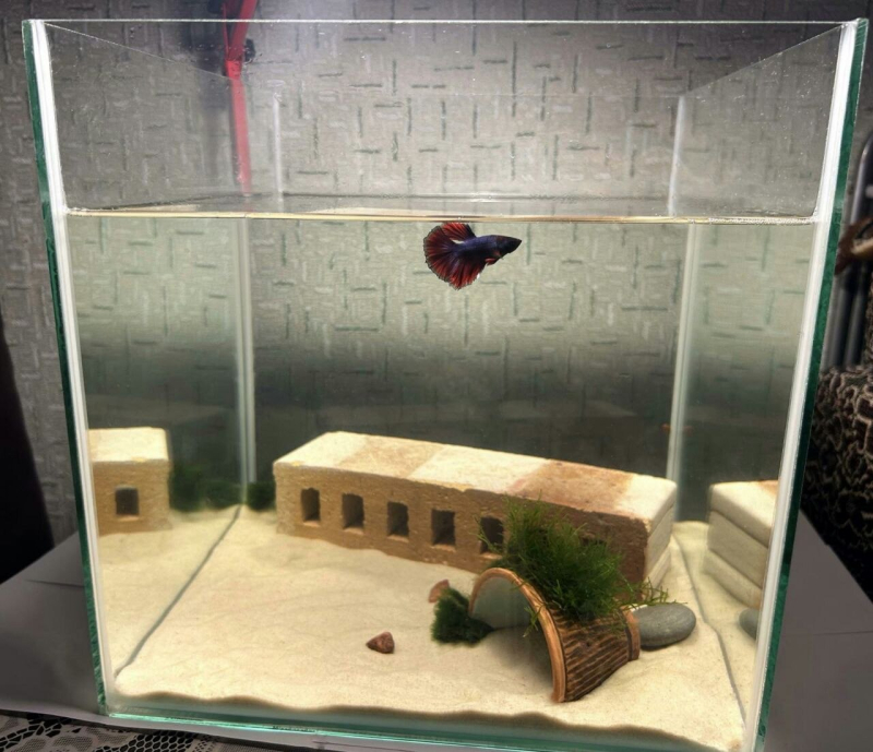 Аквариум 60 литров