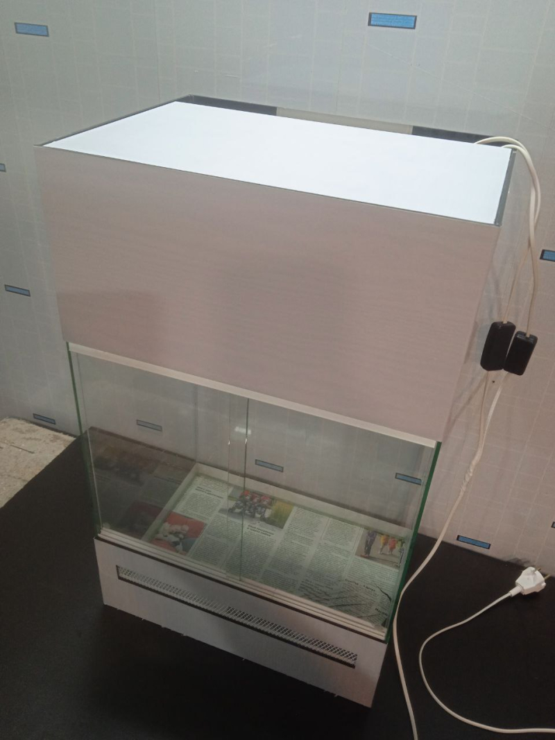 Террариум - лягушатник