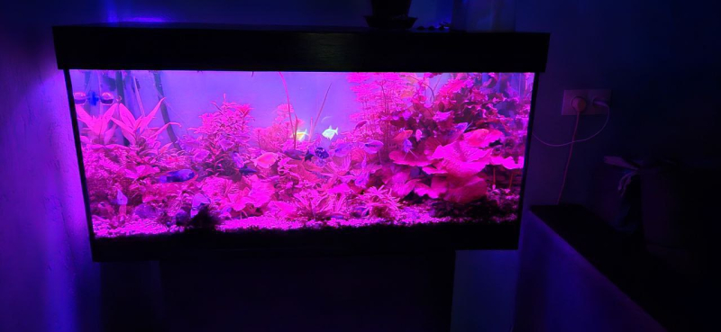 Аквариумная крышка из пластика