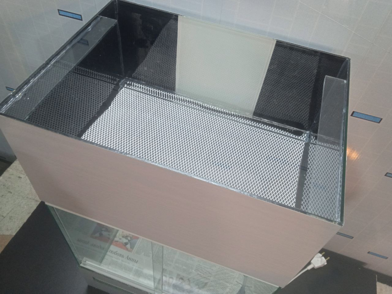 Террариум - лягушатник