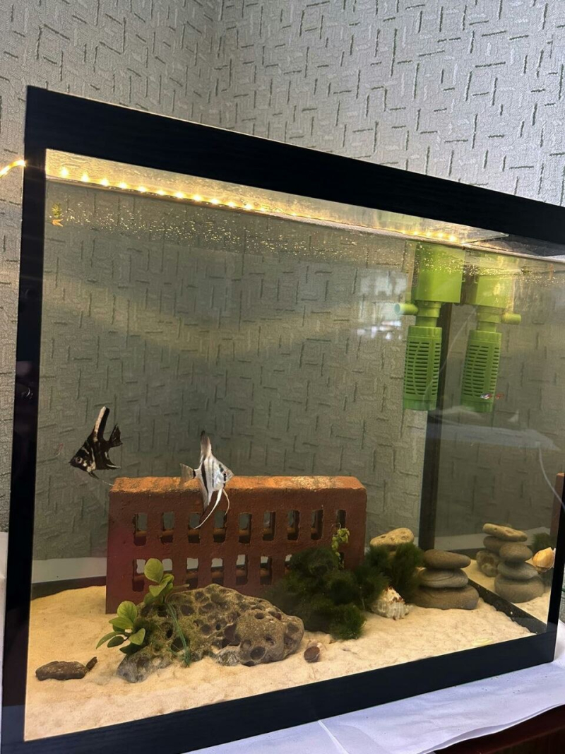 Аквариум 50х30х40 см, стекло 4мм Аквариум 50х30х40 см, стекло 4мм