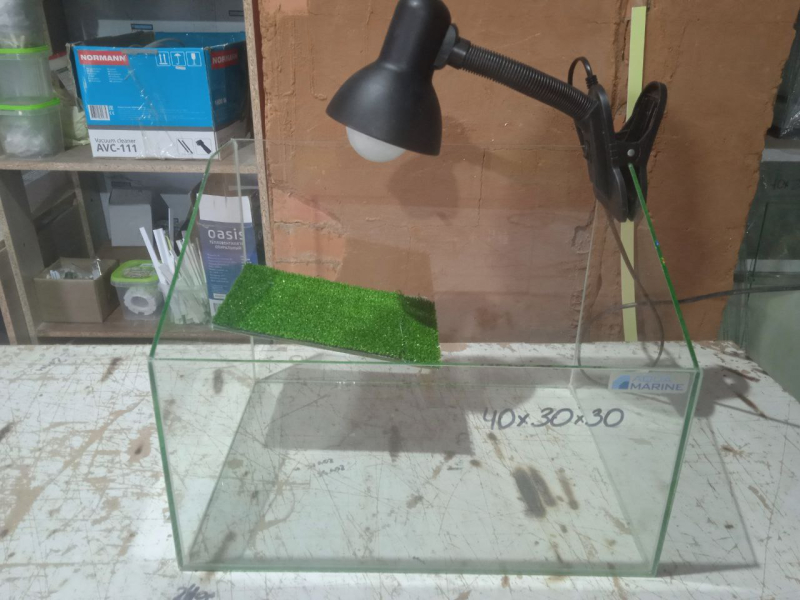 Акватеррариум для черепахи