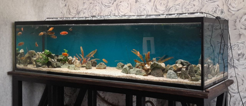 Террариум 100*40*40