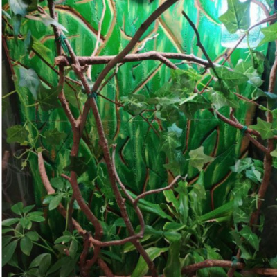 Террариум для хамелеона - AquaMarine