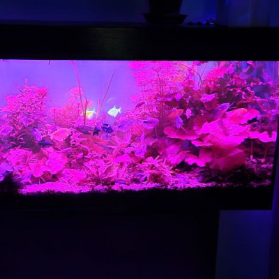 Аквариум под заказ, результат, фото заказчиков - AquaMarine