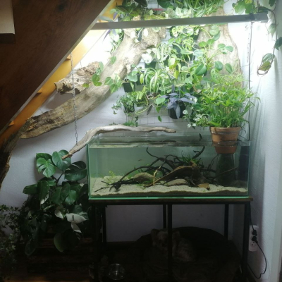 Аквариум, результат, фото заказчиков - AquaMarine